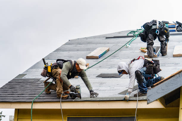 Professional Flat Roof Repair technician working in Waterloo, WI